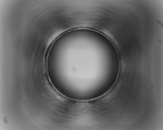 X0000099450886200805161019