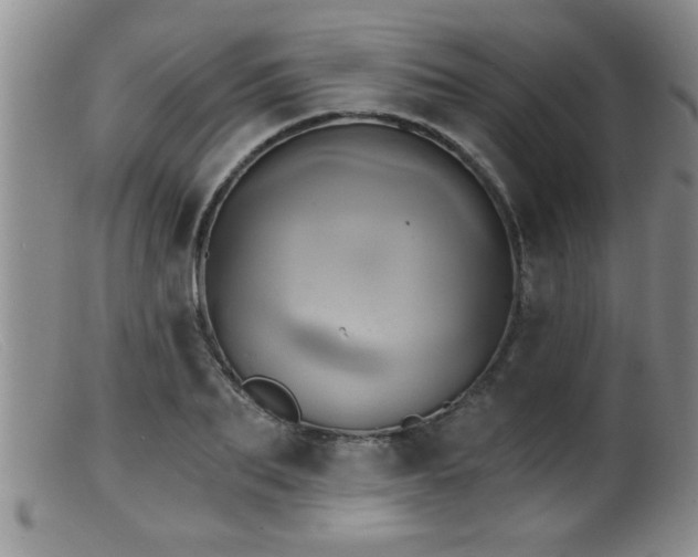 X0000099450887200805161019