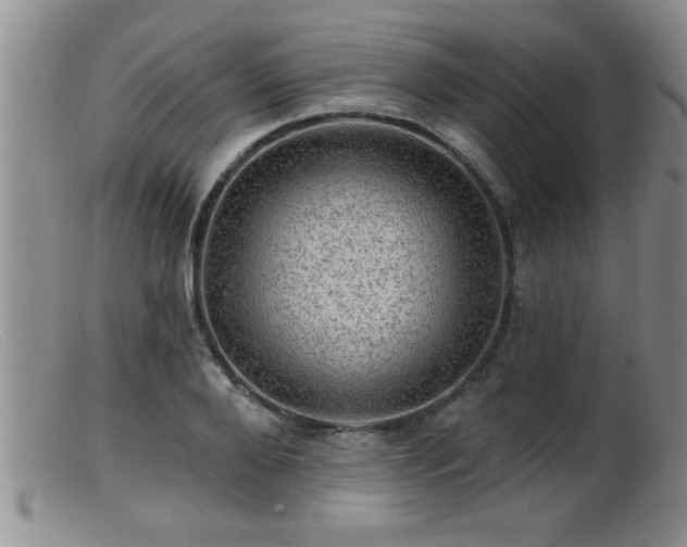 X0000099450888200805161019