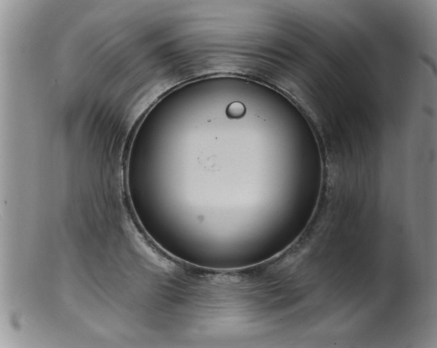 X0000099450890200805161019