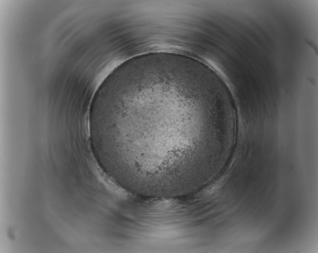 X0000099450891200805161019