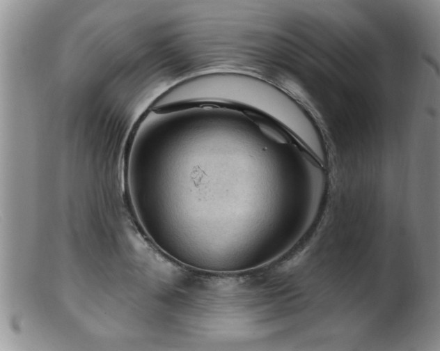 X0000099450892200805161019