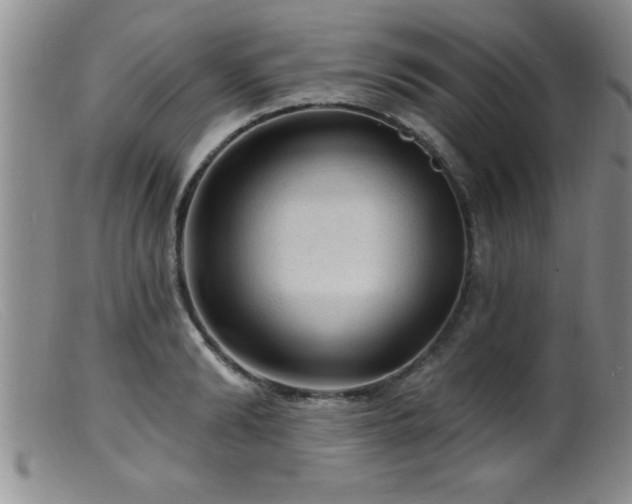 X0000099450894200805161019