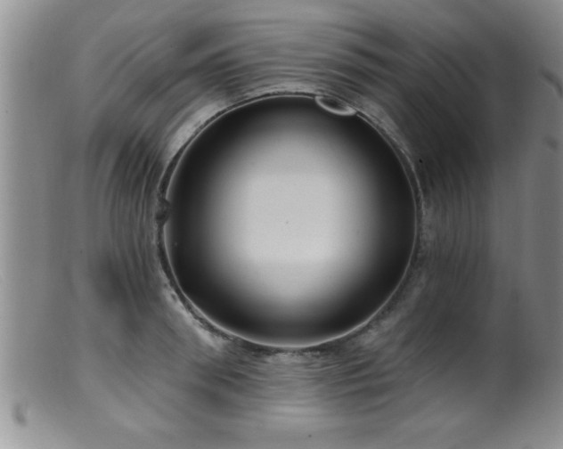 X0000099450898200805161019