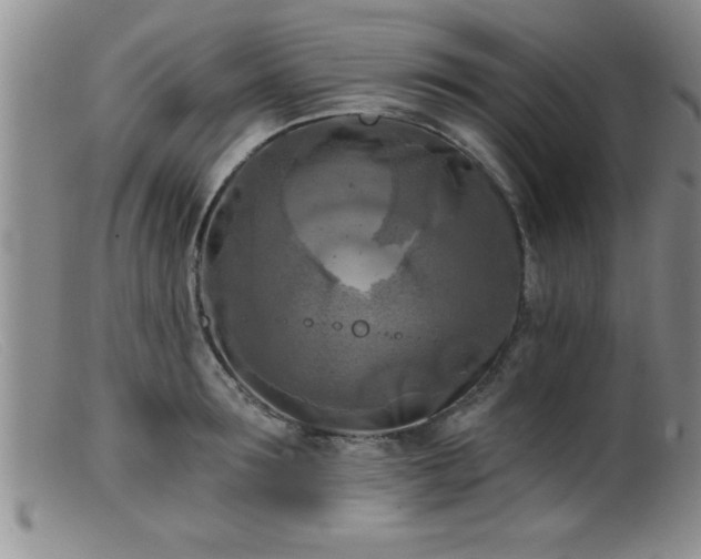 X0000099450899200805161019