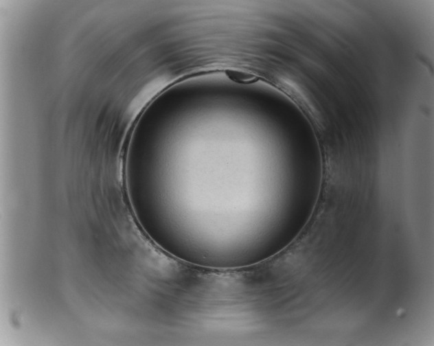 X0000099450900200805161019