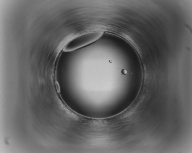 X0000099450901200805161019