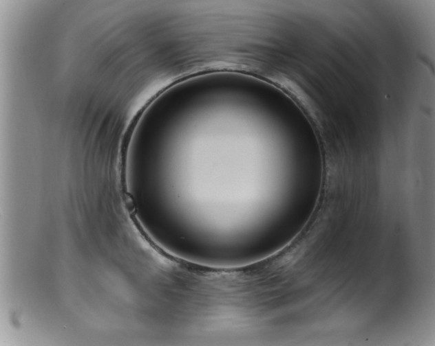 X0000099450902200805161019