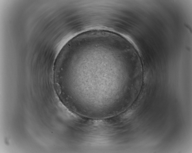 X0000099450903200805161019