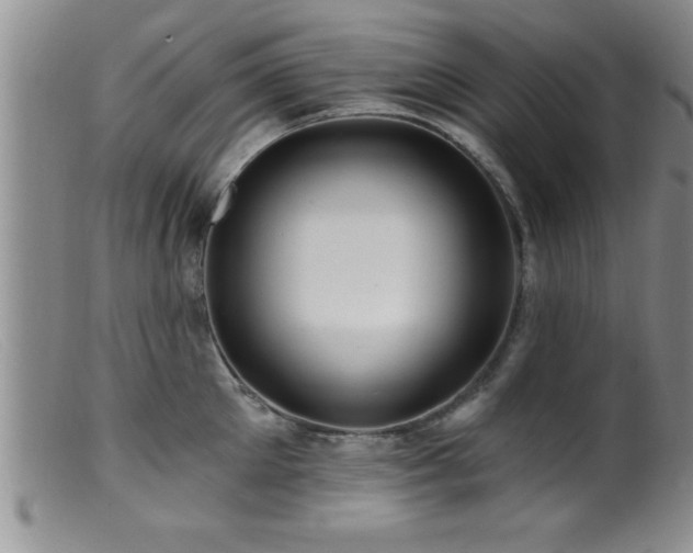 X0000099450905200805161019