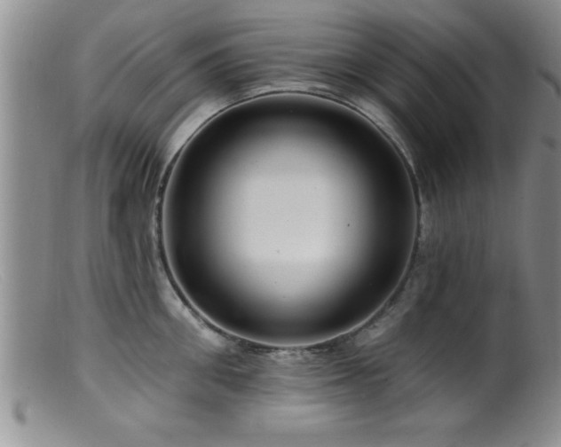 X0000099450906200805161019