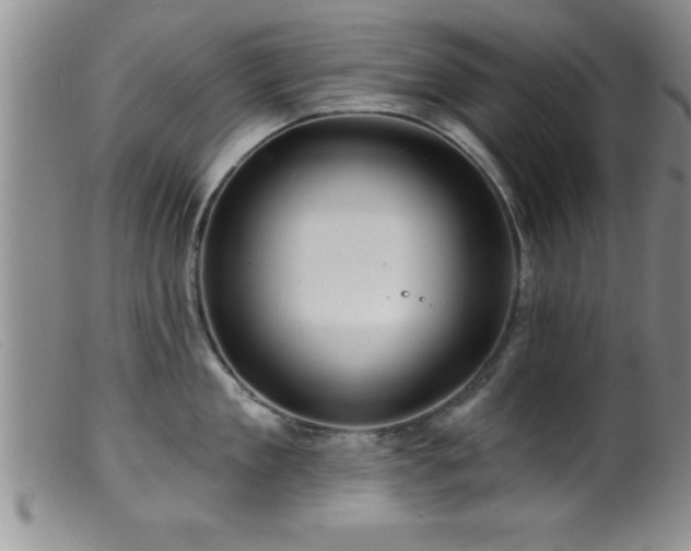 X0000099450909200805161019