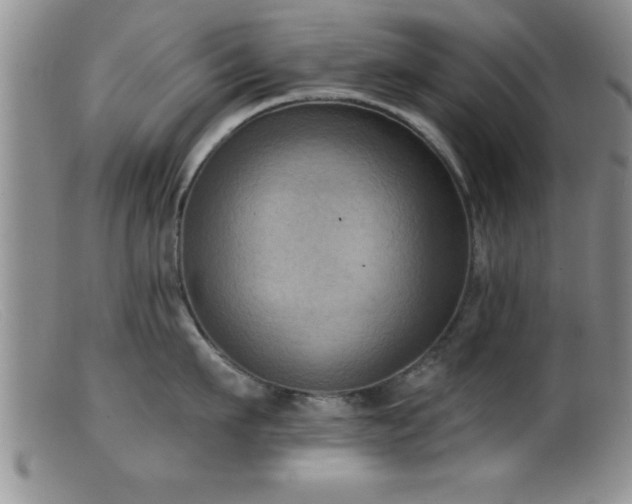 X0000099450911200805161019