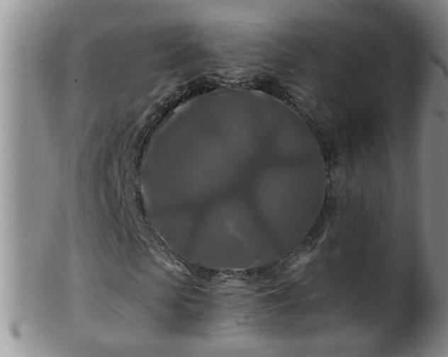 X0000099450913200805161018