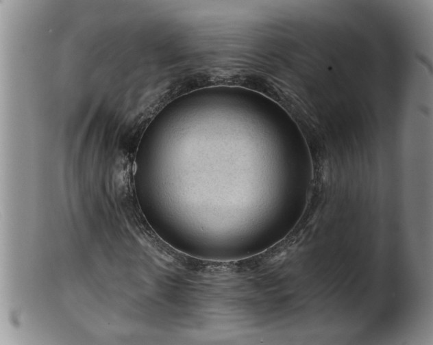 X0000099450914200805161018