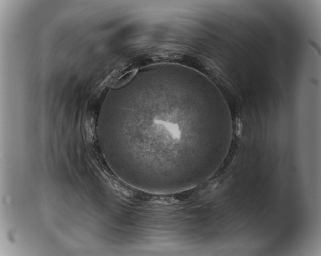 X0000099450915200805161018