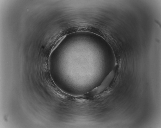 X0000099450916200805161018