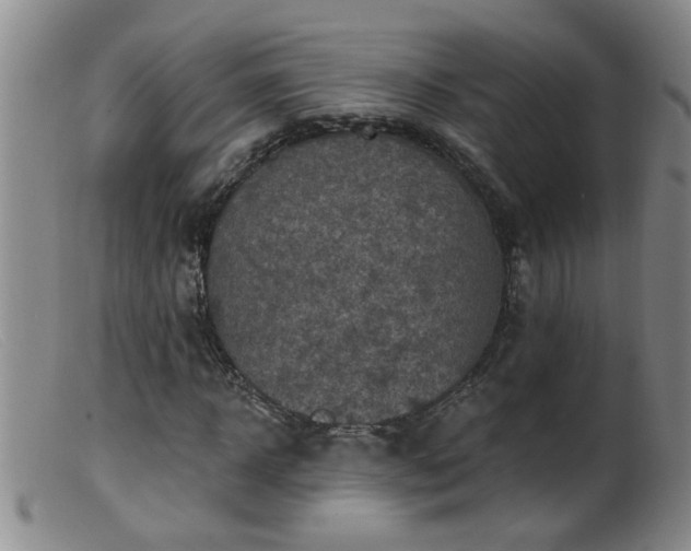 X0000099450918200805161018