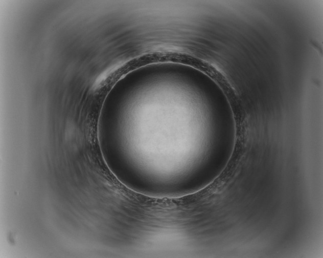 X0000099450919200805161018