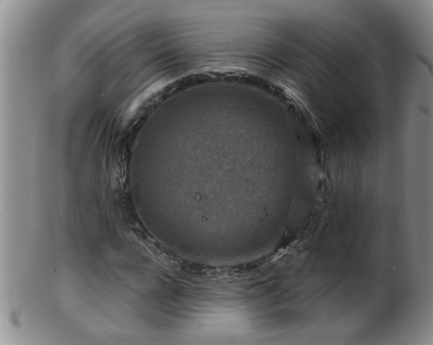 X0000099450920200805161018