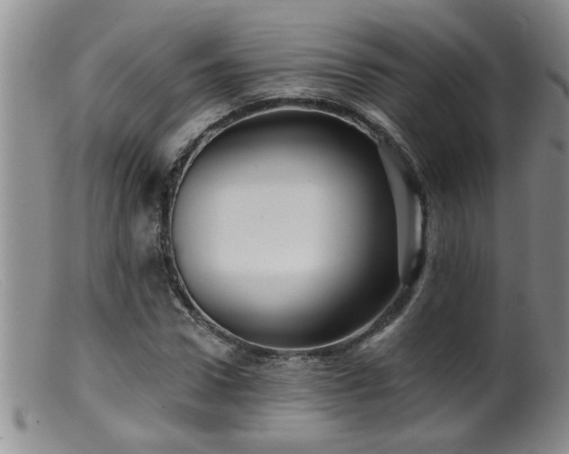 X0000099450922200805161018