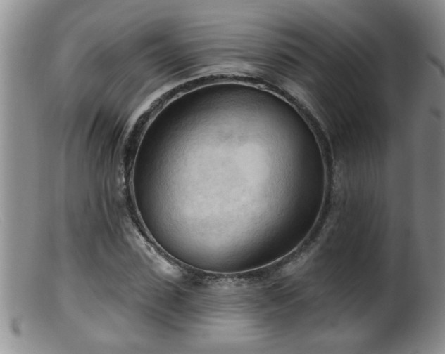 X0000099450923200805161018