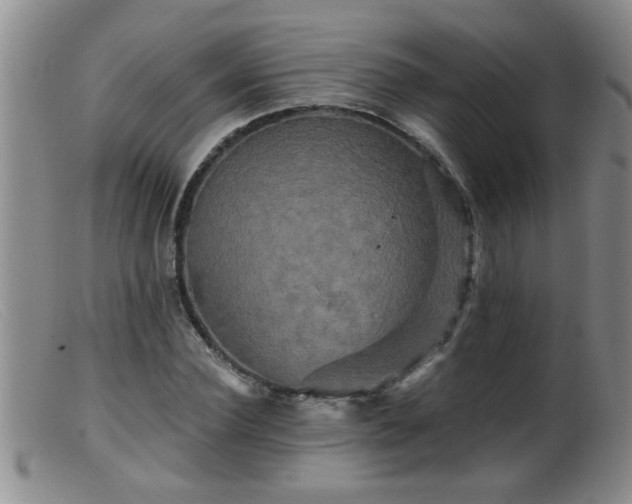 X0000099450924200805161018