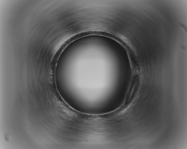 X0000099450926200805161018