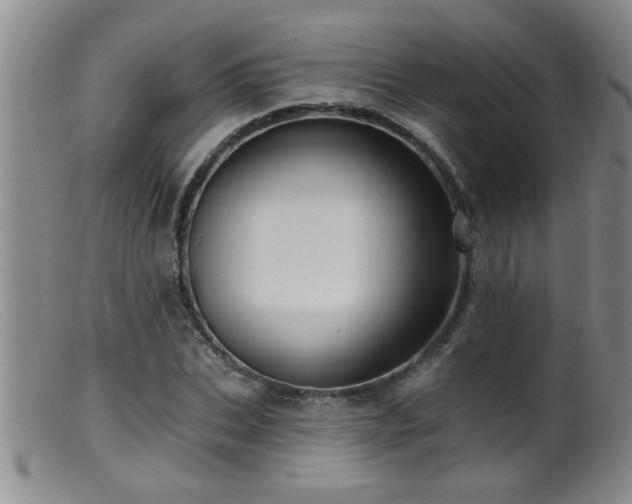 X0000099450927200805161018