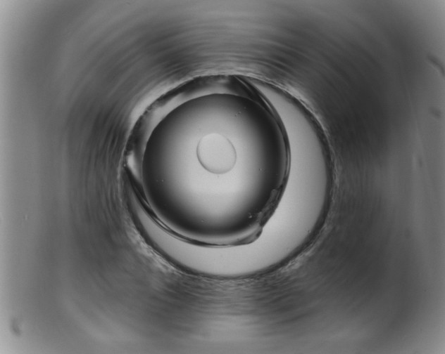 X0000099450928200805161018