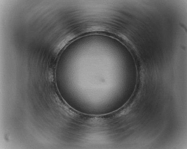 X0000099450929200805161018