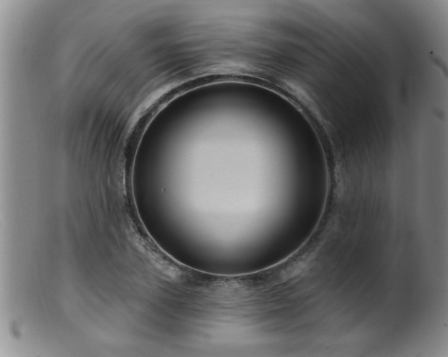 X0000099450931200805161018