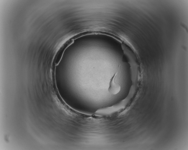 X0000099450932200805161019