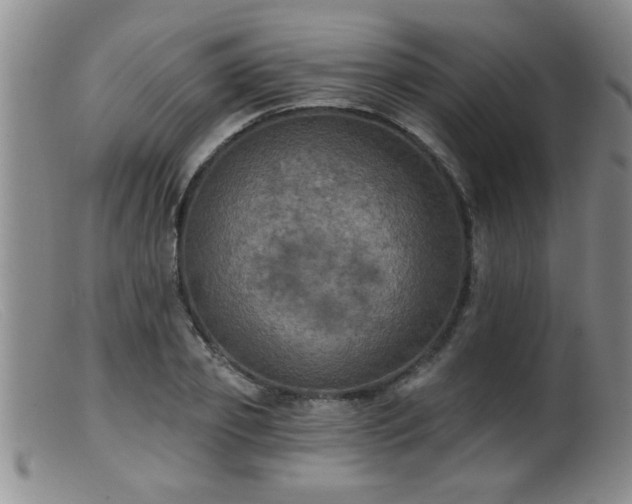 X0000099450933200805161019