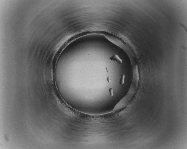 X0000099450934200805161019