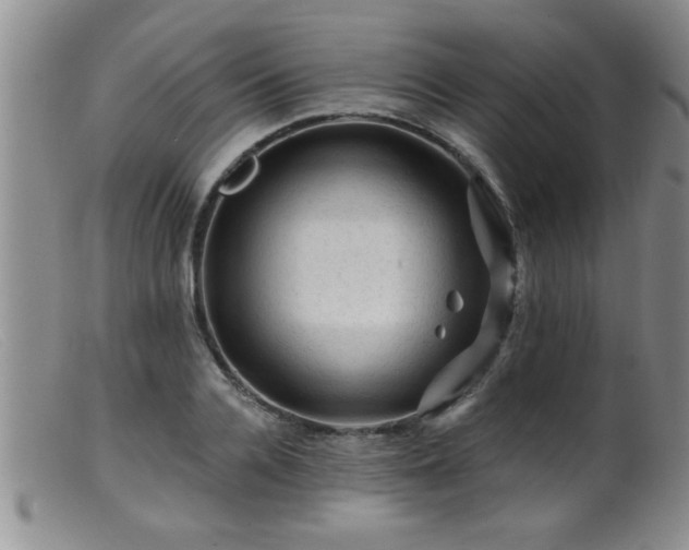 X0000099450936200805161019