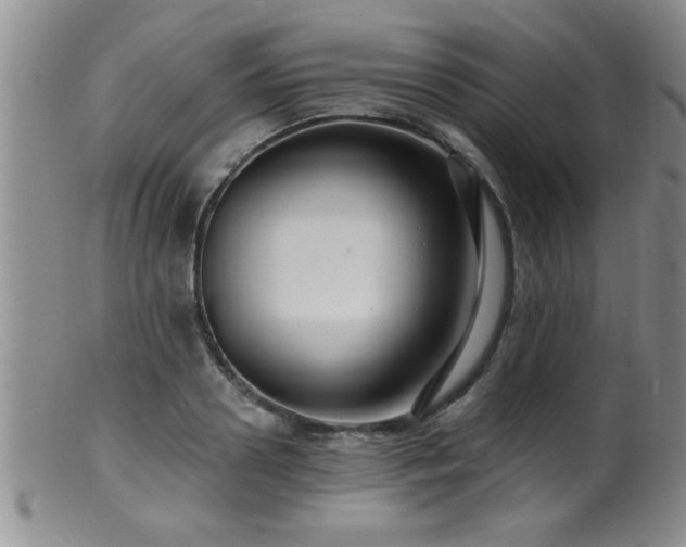 X0000099450938200805161019