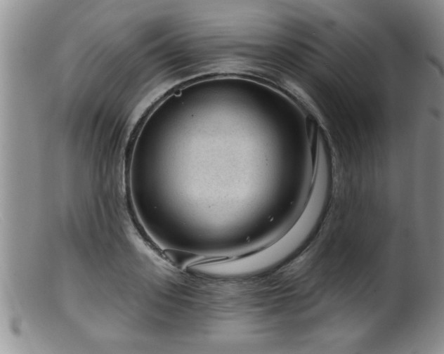 X0000099450939200805161019