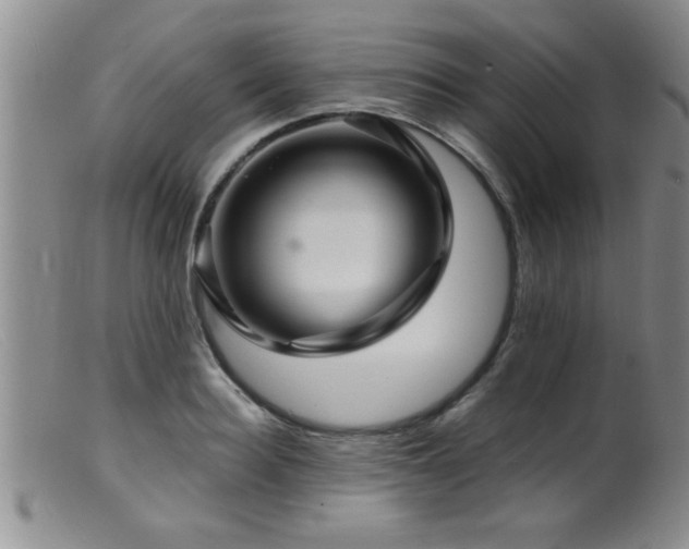 X0000099450940200805161019