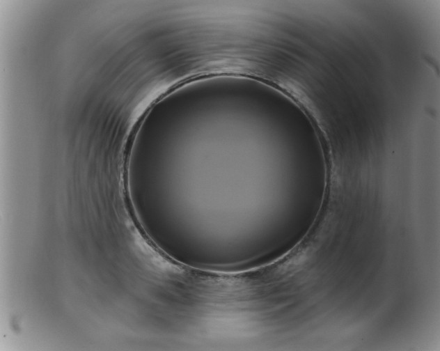 X0000099450941200805161019