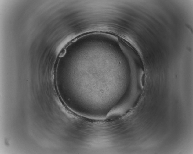 X0000099450944200805161019