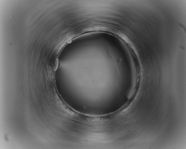 X0000099450945200805161019