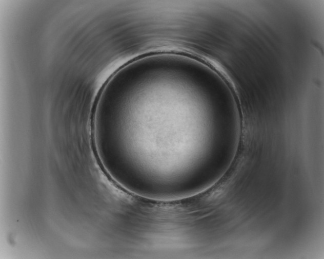 X0000099450951200805161019