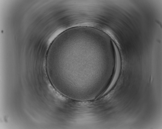 X0000099450952200805161019