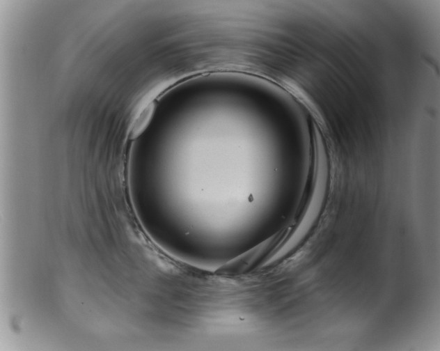 X0000099450956200805161019