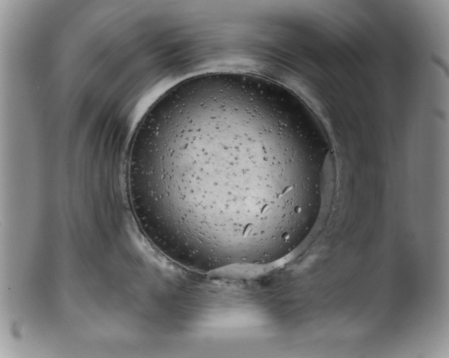 X0000099450960200805161019