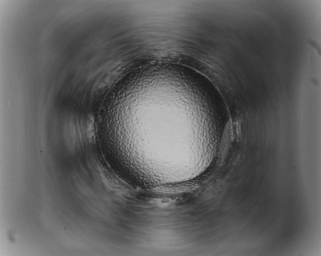 X0000099450963200805161018