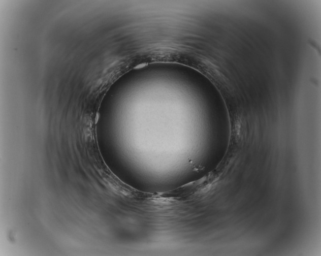 X0000099450964200805161018