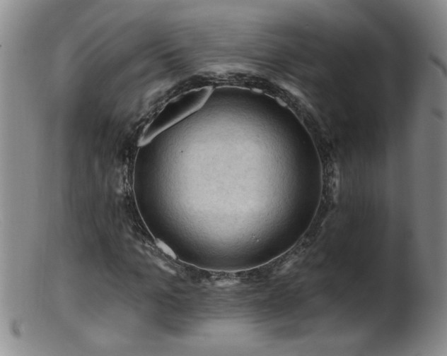 X0000099450965200805161018