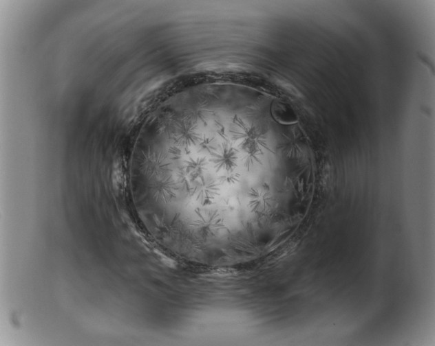 X0000099450966200805161018
